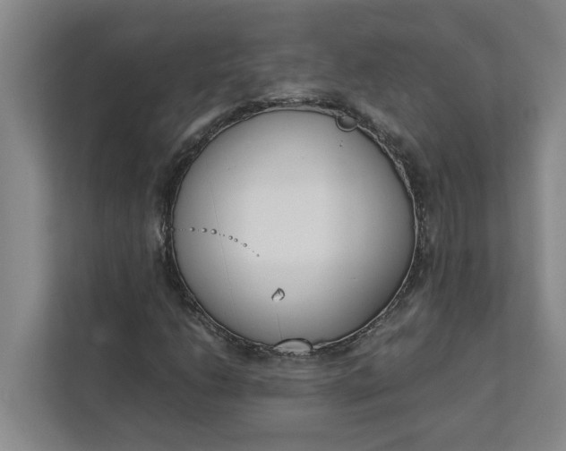 X0000111881206200908061307