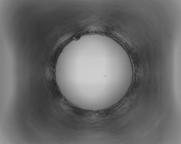 X0000111881207200908061307