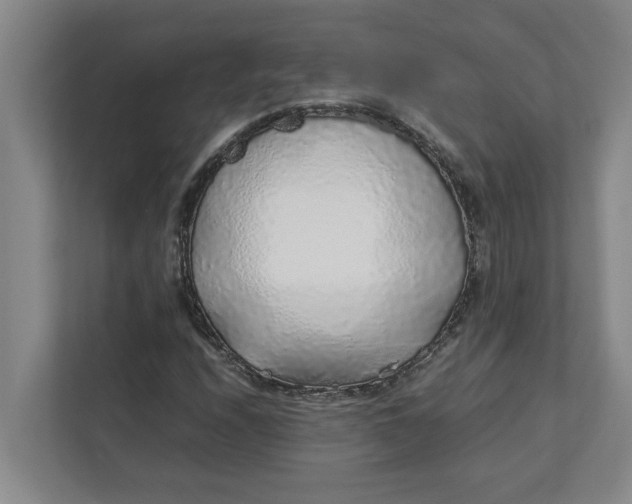 X0000111881208200908061307