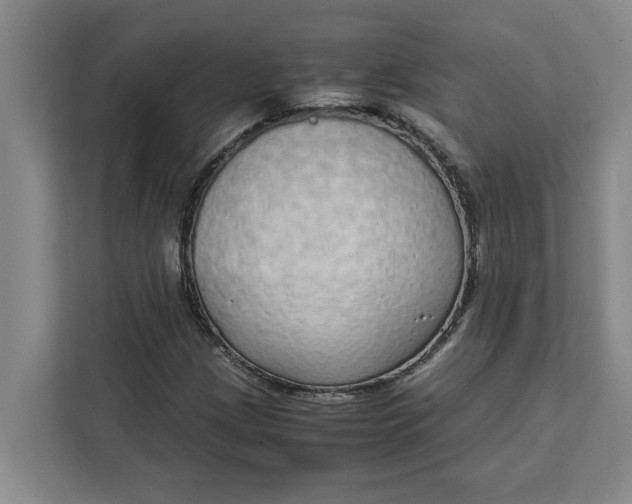 X0000111881209200908061307