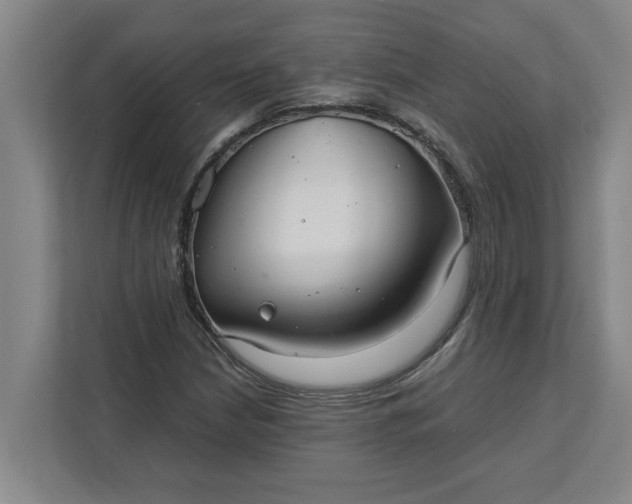 X0000111881210200908061307