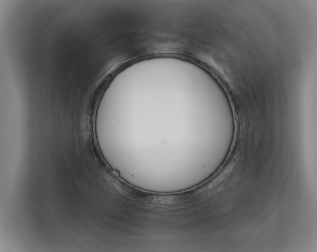 X0000111881211200908061307