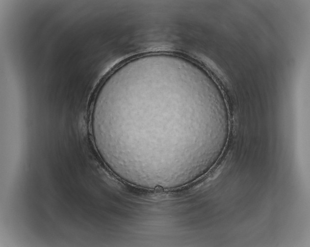 X0000111881212200908061307