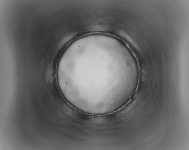 X0000111881213200908061307