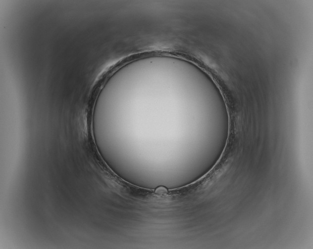 X0000111881214200908061307