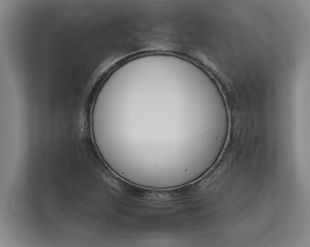 X0000111881215200908061307