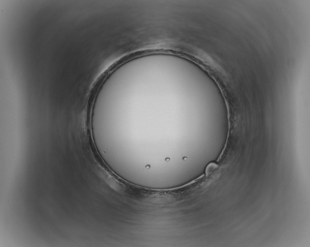 X0000111881216200908061307