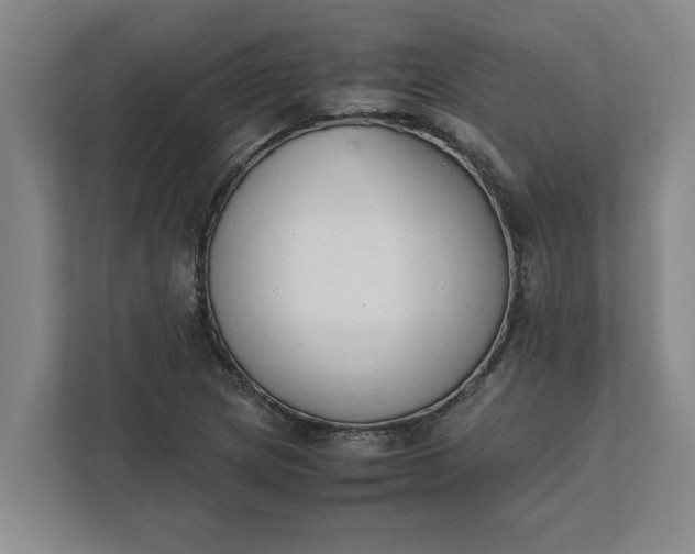 X0000111881217200908061307