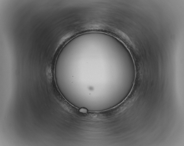 X0000111881218200908061307