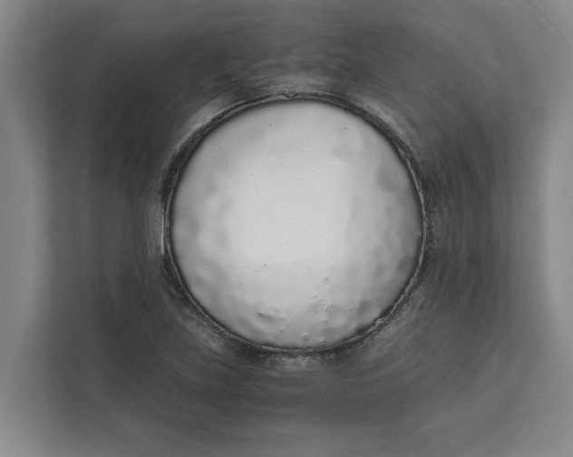 X0000111881219200908061307