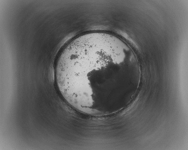 X0000111881221200908061307