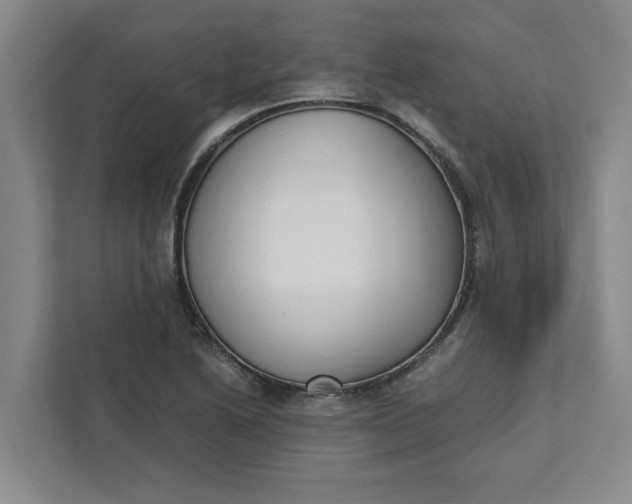 X0000111881222200908061307