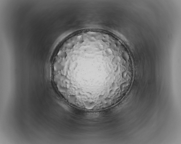 X0000111881223200908061307