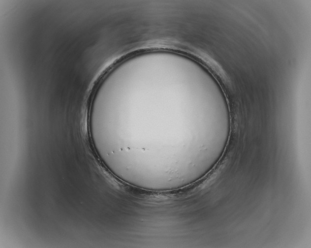 X0000111881224200908061307