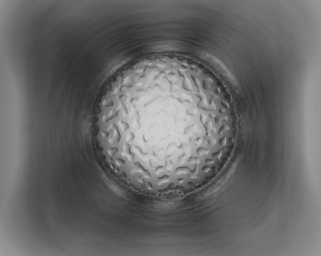 X0000111881225200908061307