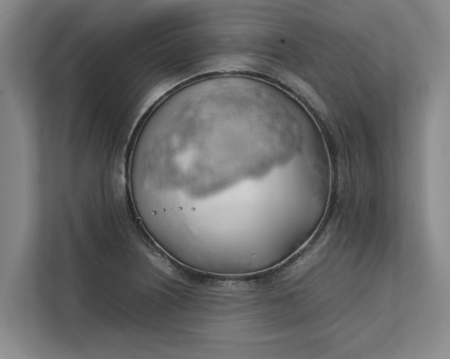 X0000111881226200908061307