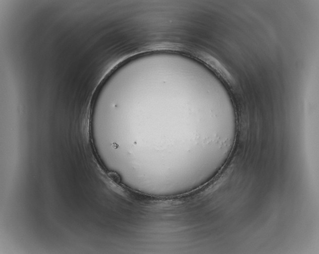 X0000111881228200908061307