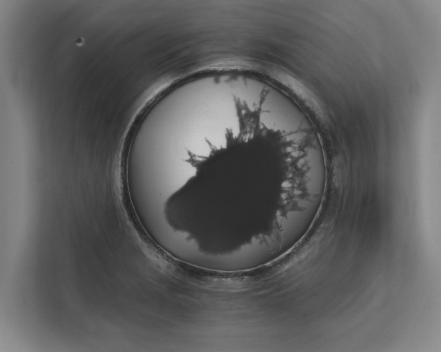 X0000111881229200908061307