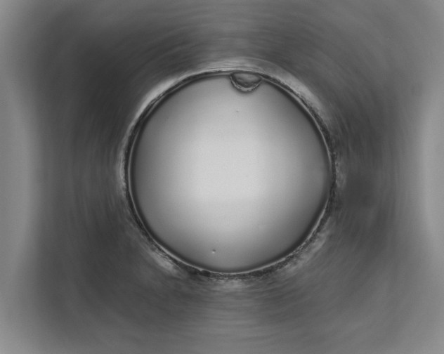 X0000111881230200908061307