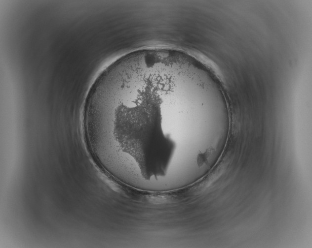 X0000111881231200908061307