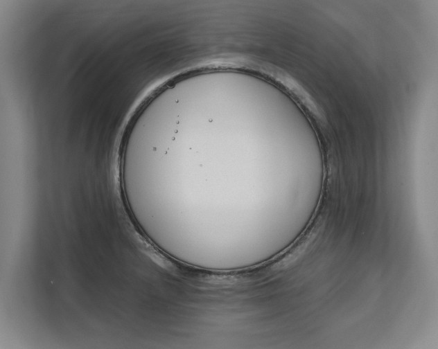 X0000111881232200908061307