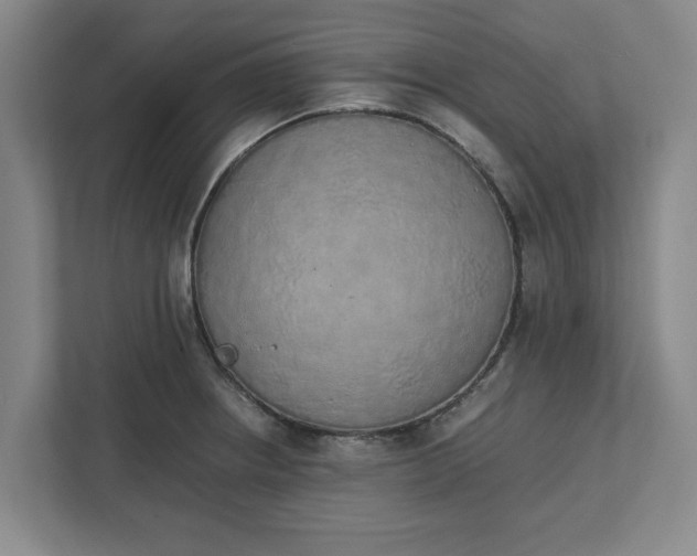 X0000111881234200908061307