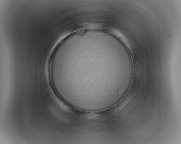 X0000111881235200908061307