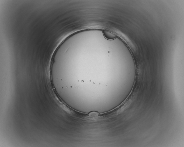 X0000111881236200908061307