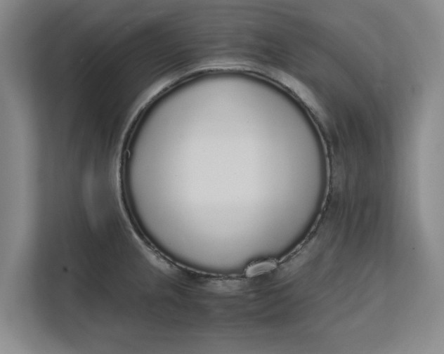 X0000111881237200908061307