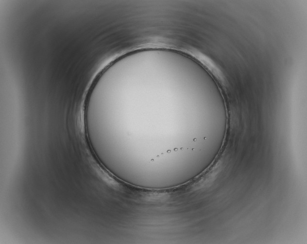 X0000111881238200908061307