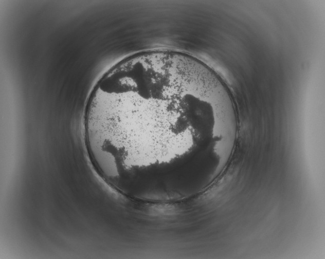 X0000111881239200908061307