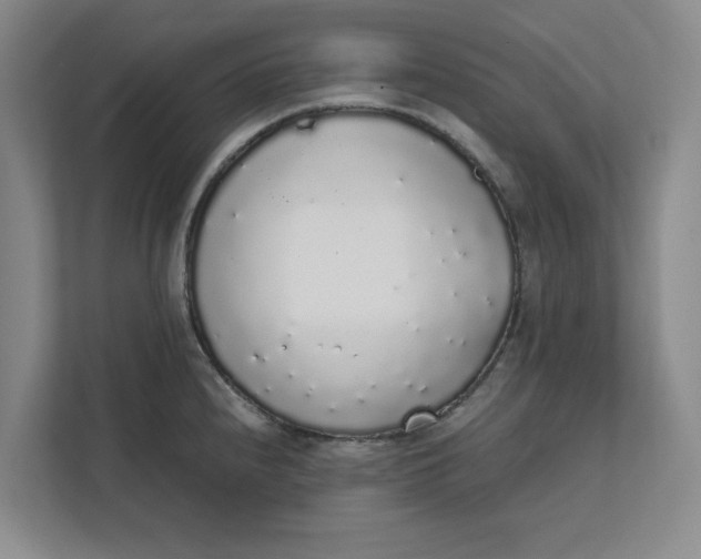 X0000111881240200908061307