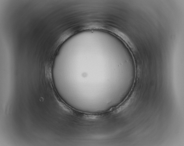 X0000111881241200908061307