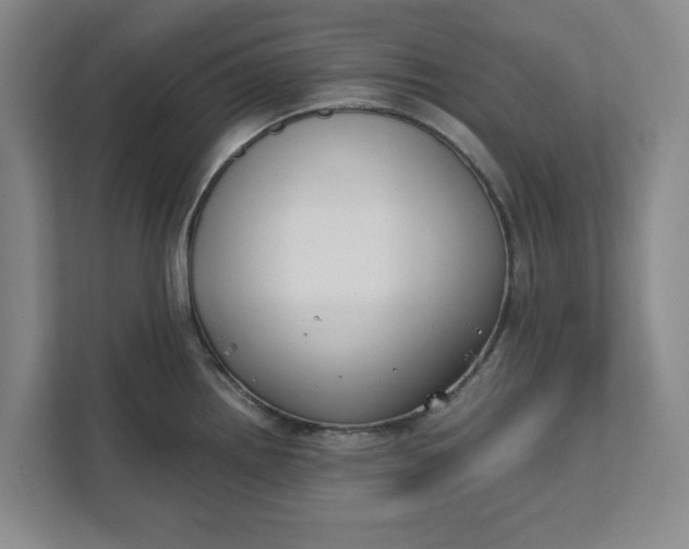 X0000111881242200908061307