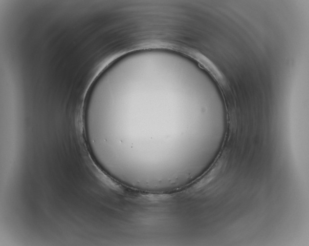 X0000111881244200908061307