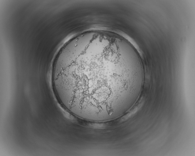 X0000111881245200908061307