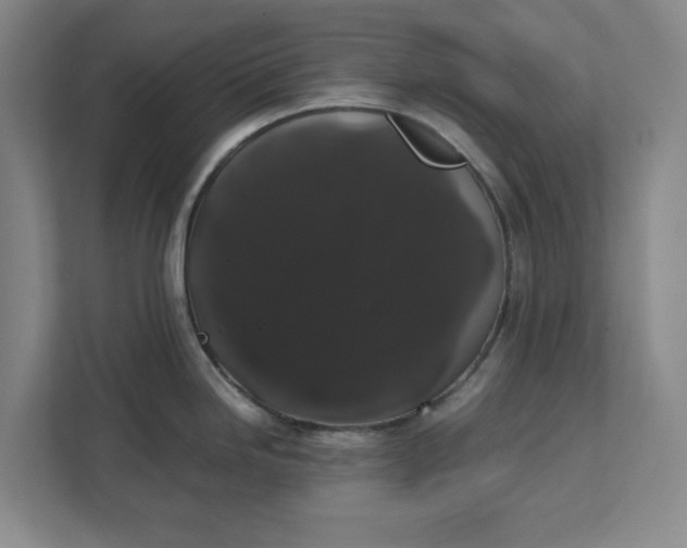 X0000111881246200908061307