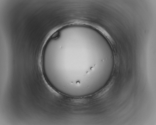 X0000111881247200908061307