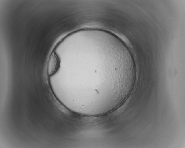 X0000111881248200908061307