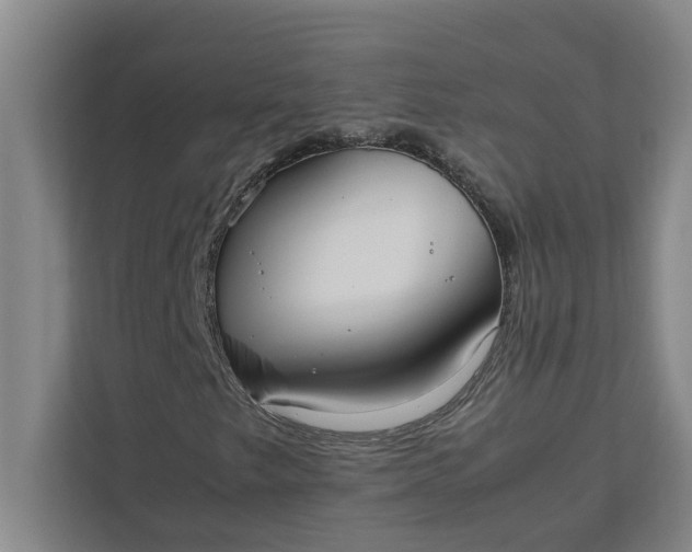 X0000111881249200908061307