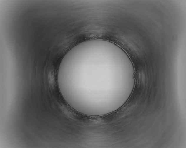 X0000111881250200908061307