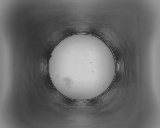 X0000111881251200908061307