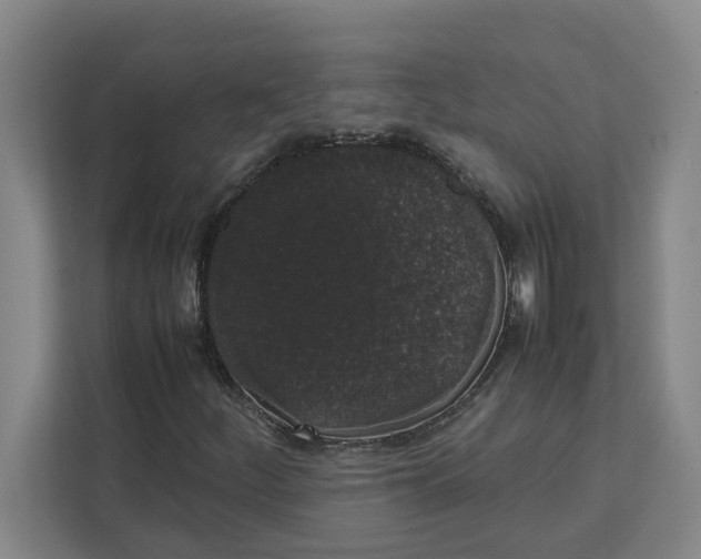 X0000111881252200908061307