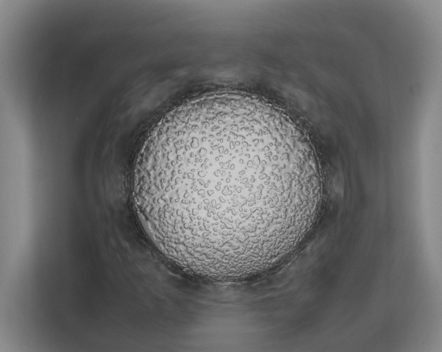 X0000111881253200908061307