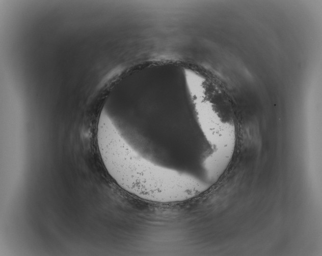 X0000111881254200908061307