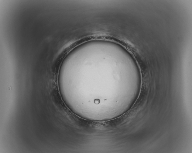 X0000111881255200908061307