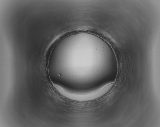 X0000111881256200908061307