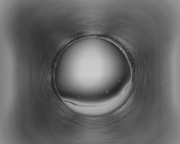 X0000111881257200908061307