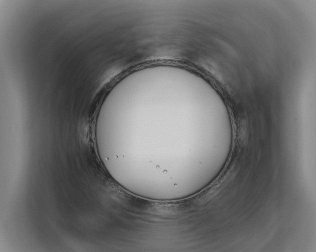 X0000111881258200908061307