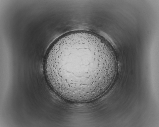 X0000111881260200908061307